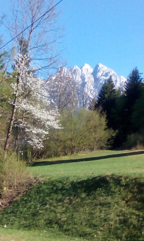Apartments Grudnik Kranjska Gora Exterior photo